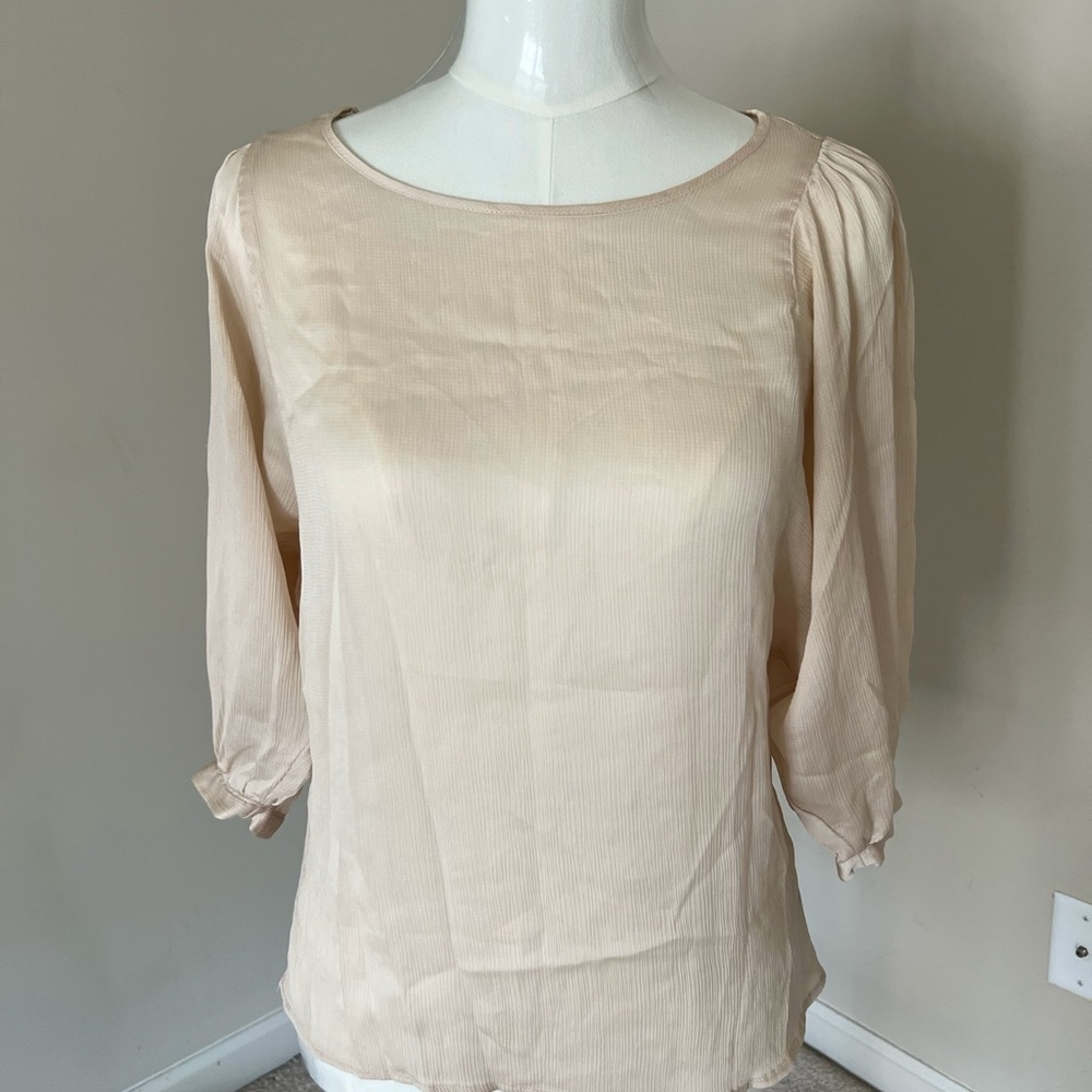Champagne Sheer Blouse - Medium